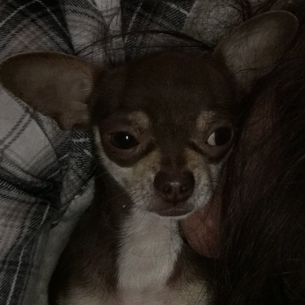 Meet your Posher, Laura